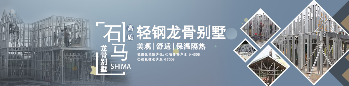 輕鋼龍骨別墅 輕鋼龍骨別墅